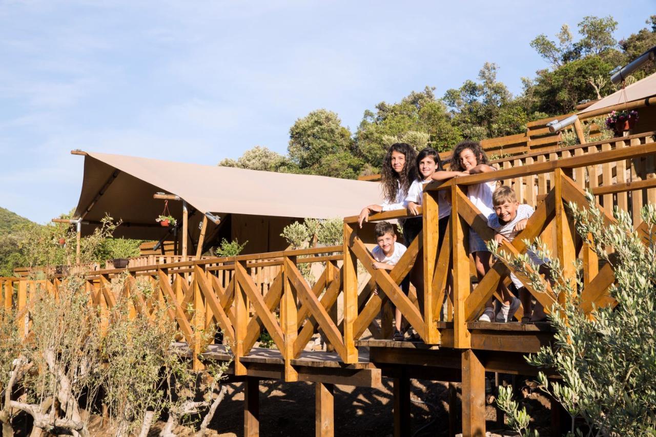 Sea Glamping Luxury tent Kotor